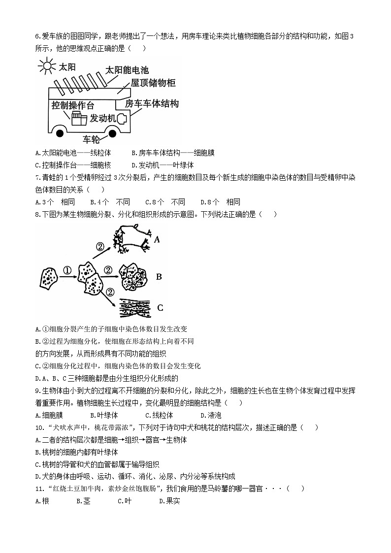 河北省保定市顺平县2024-2025学年七年级上学期期中生物试题第2页