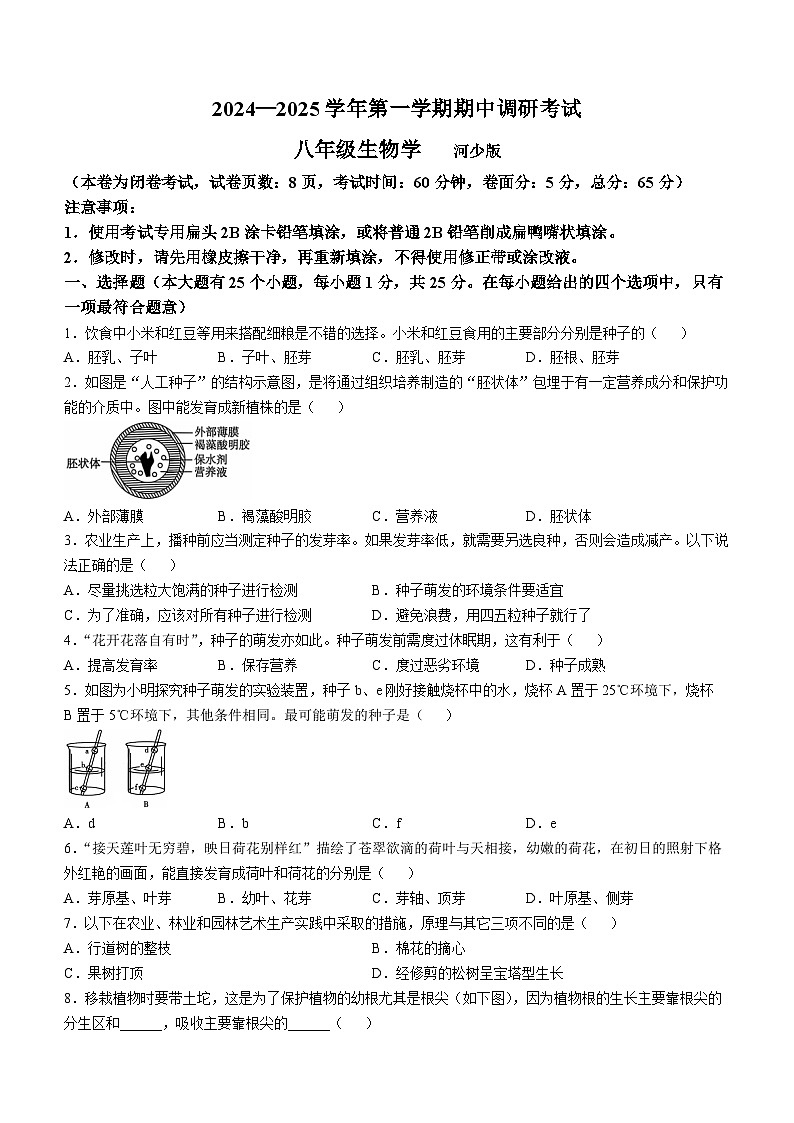 河北省保定市顺平县2024-2025学年八年级上学期期中生物试题第1页