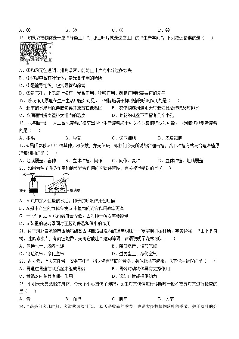 河北省保定市顺平县2024-2025学年八年级上学期期中生物试题第3页