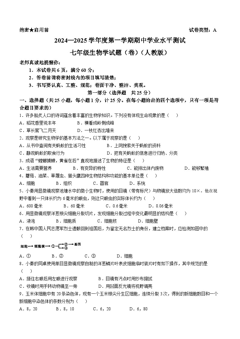 陕西省西安市西咸新区2024-2025学年七年级上学期期中生物学试题01