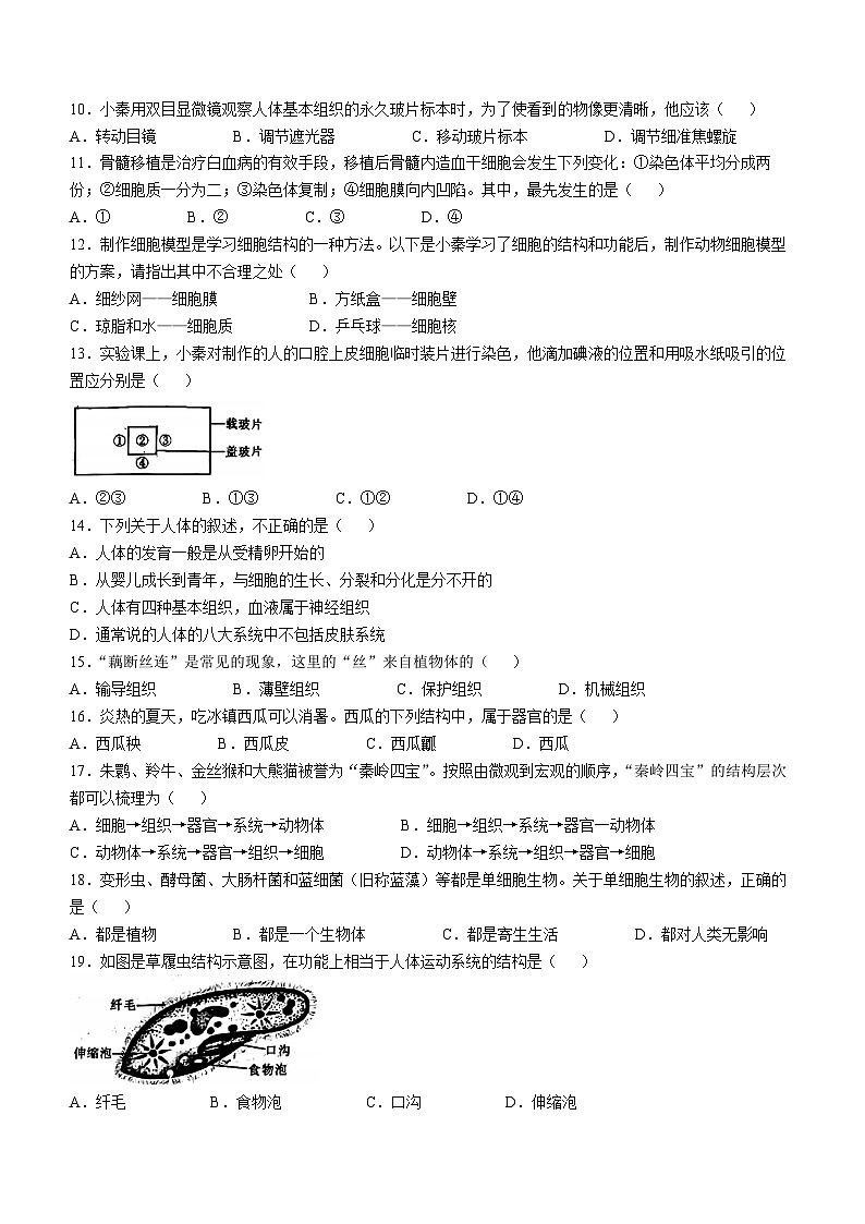 陕西省西安市西咸新区2024-2025学年七年级上学期期中生物学试题02