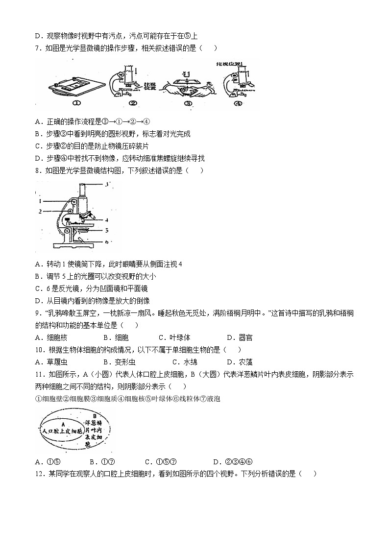 山东省济南市商河县2024-2025学年七年级上学期期中生物试题(无答案)02