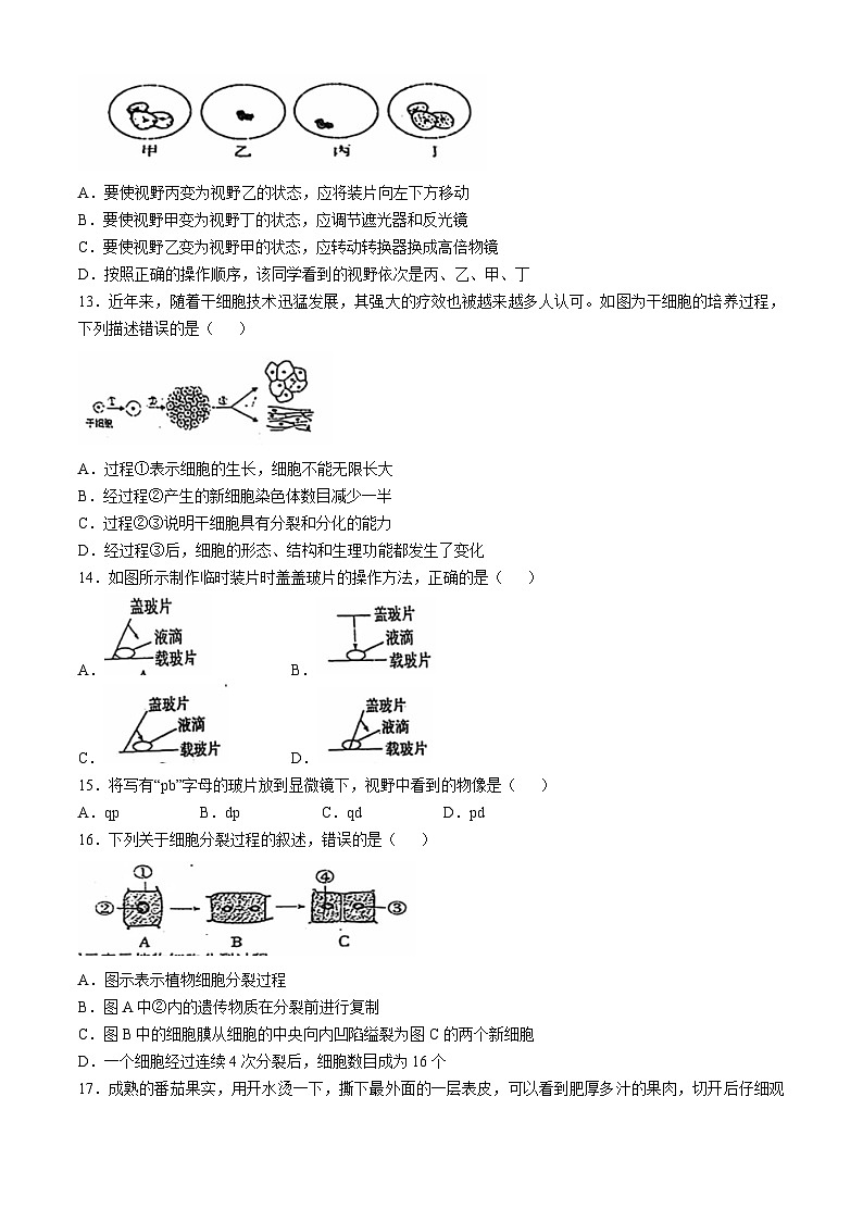 山东省济南市商河县2024-2025学年七年级上学期期中生物试题(无答案)03
