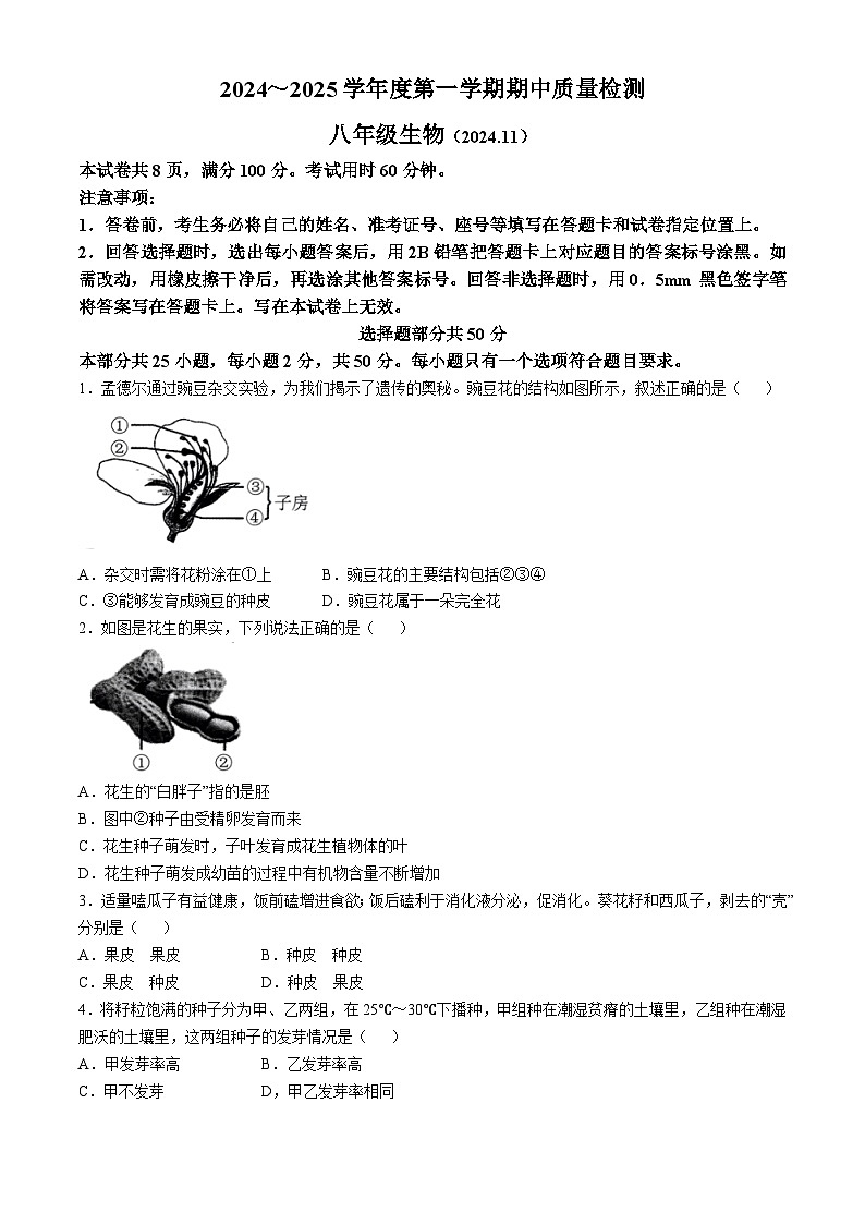 山东省济南市槐荫区2024-2025学年八年级上学期期中生物试题(无答案)01