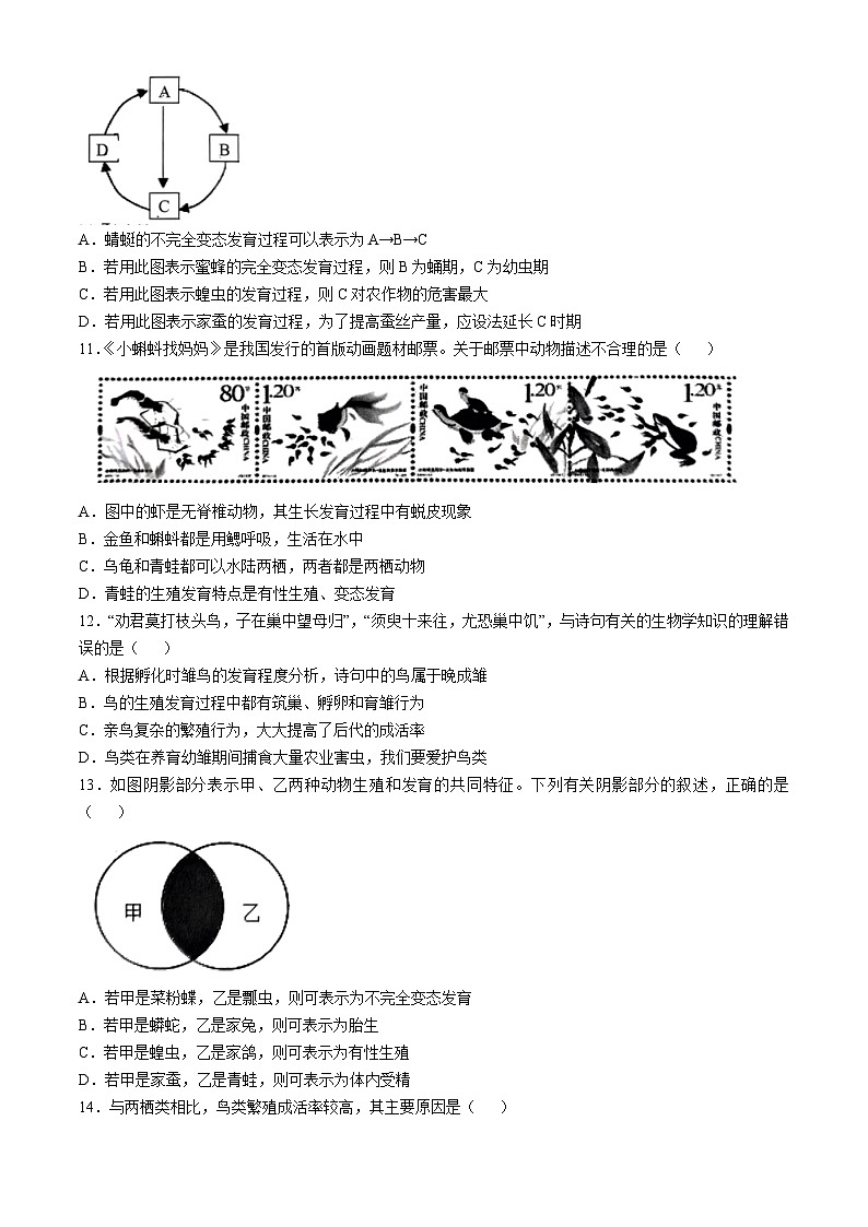 山东省济南市槐荫区2024-2025学年八年级上学期期中生物试题(无答案)03