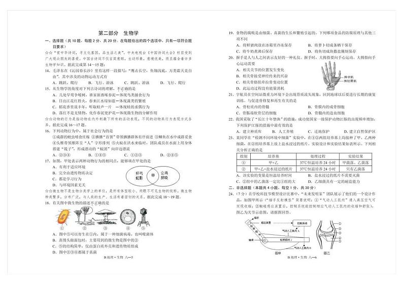 湖北省恩施州巴东县2024-2025学年八年级上学期期中教学质量检测生物试卷第1页