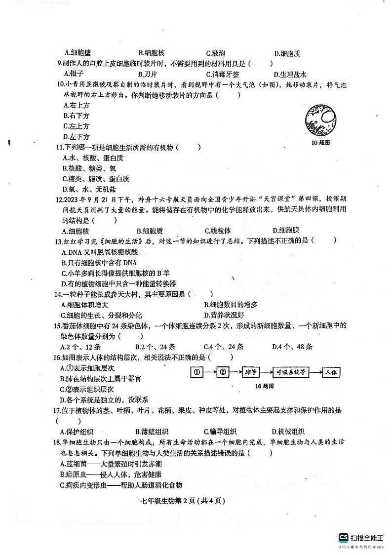 七年级上册生物期中考试试卷及答题卡第2页