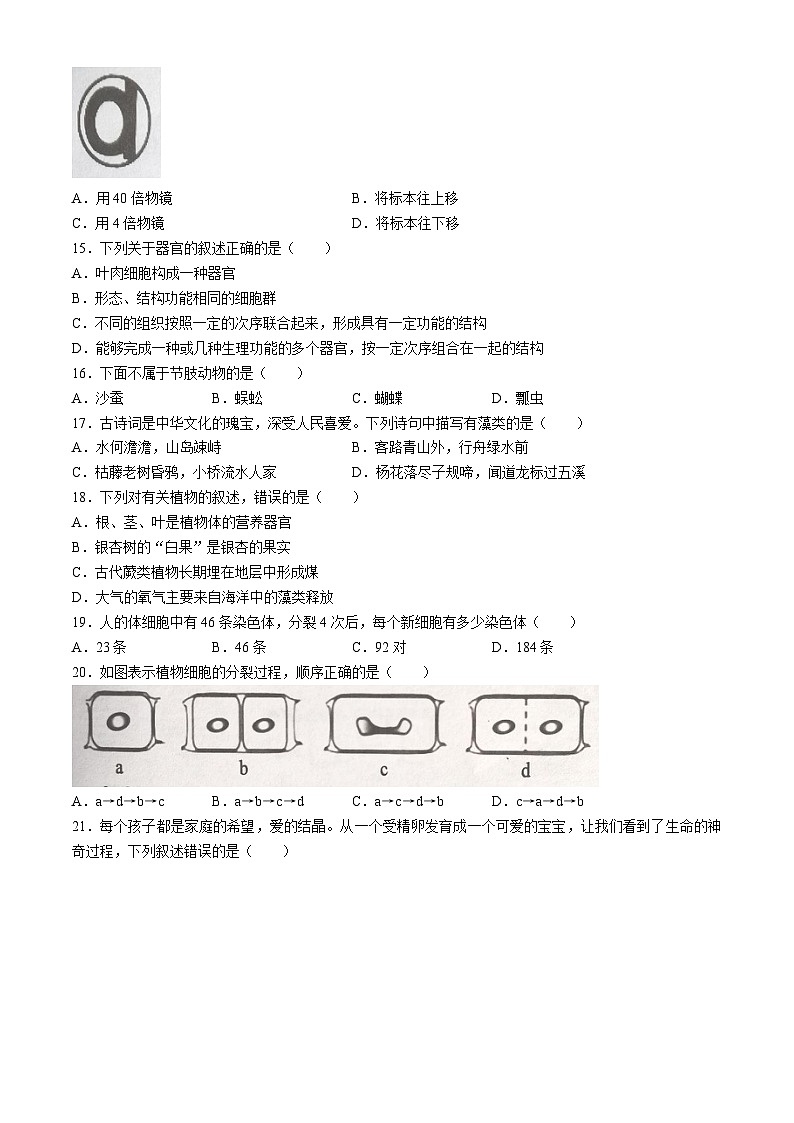 河北省唐山市古冶区2024—2025学年七年级上学期生物期中试题03
