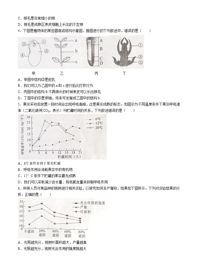 河北省唐山市古冶区2024——2025学年八年级上学期期中生物试题第2页