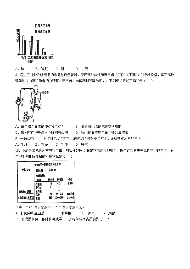 江苏省徐州市丰县2024-2025学年八年级上学期期中生物学试题第2页
