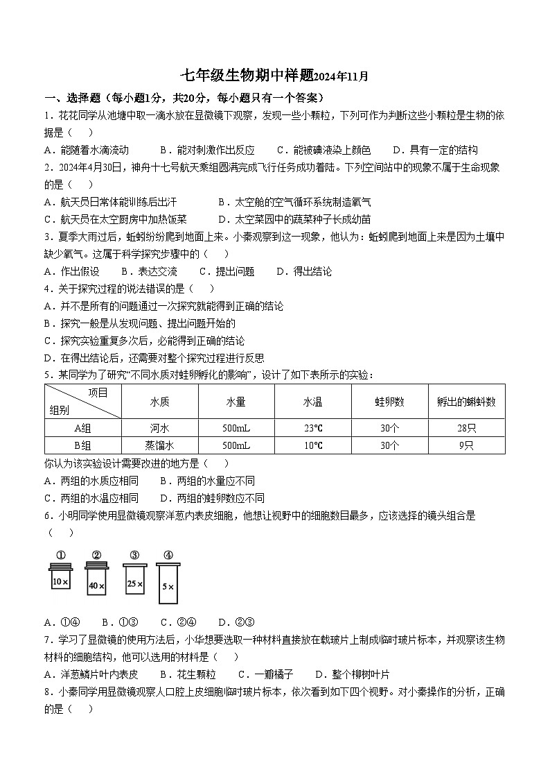 山东省菏泽市定陶区2024-2025学年七年级上学期期中生物学试题01