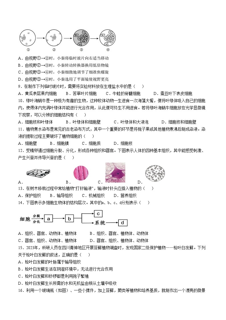 山东省菏泽市定陶区2024-2025学年七年级上学期期中生物学试题02