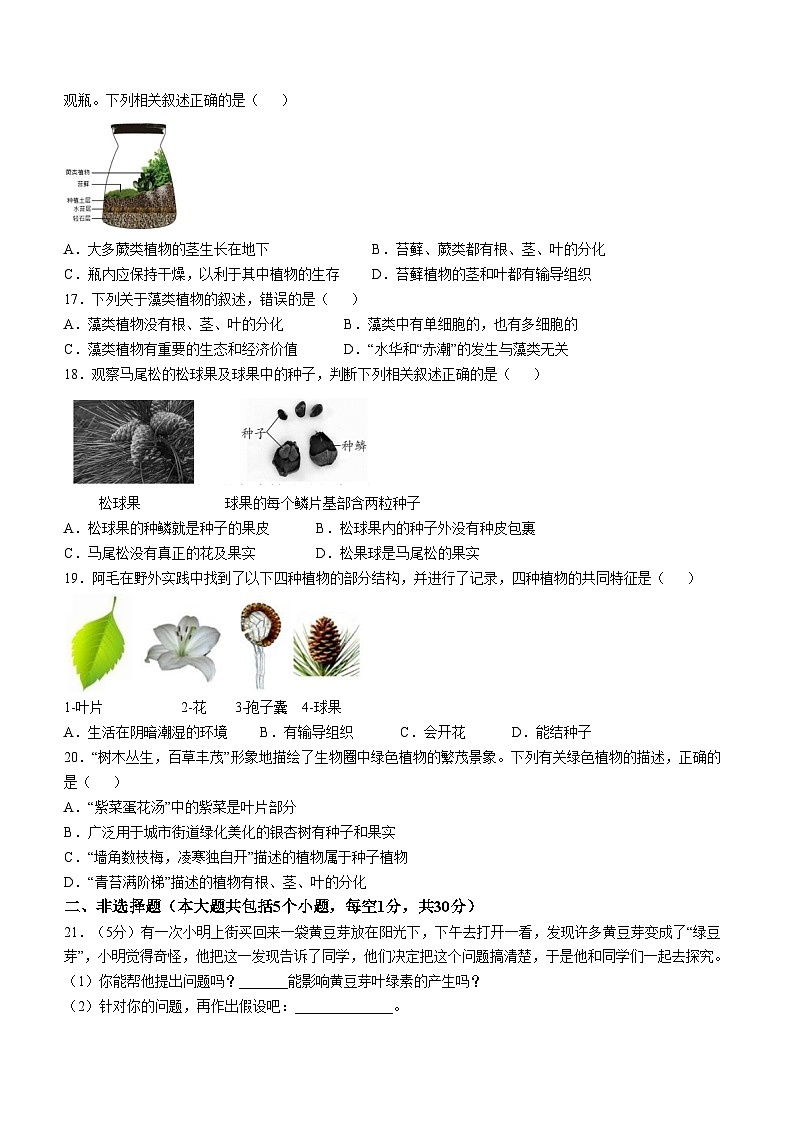 山东省菏泽市定陶区2024-2025学年七年级上学期期中生物学试题03