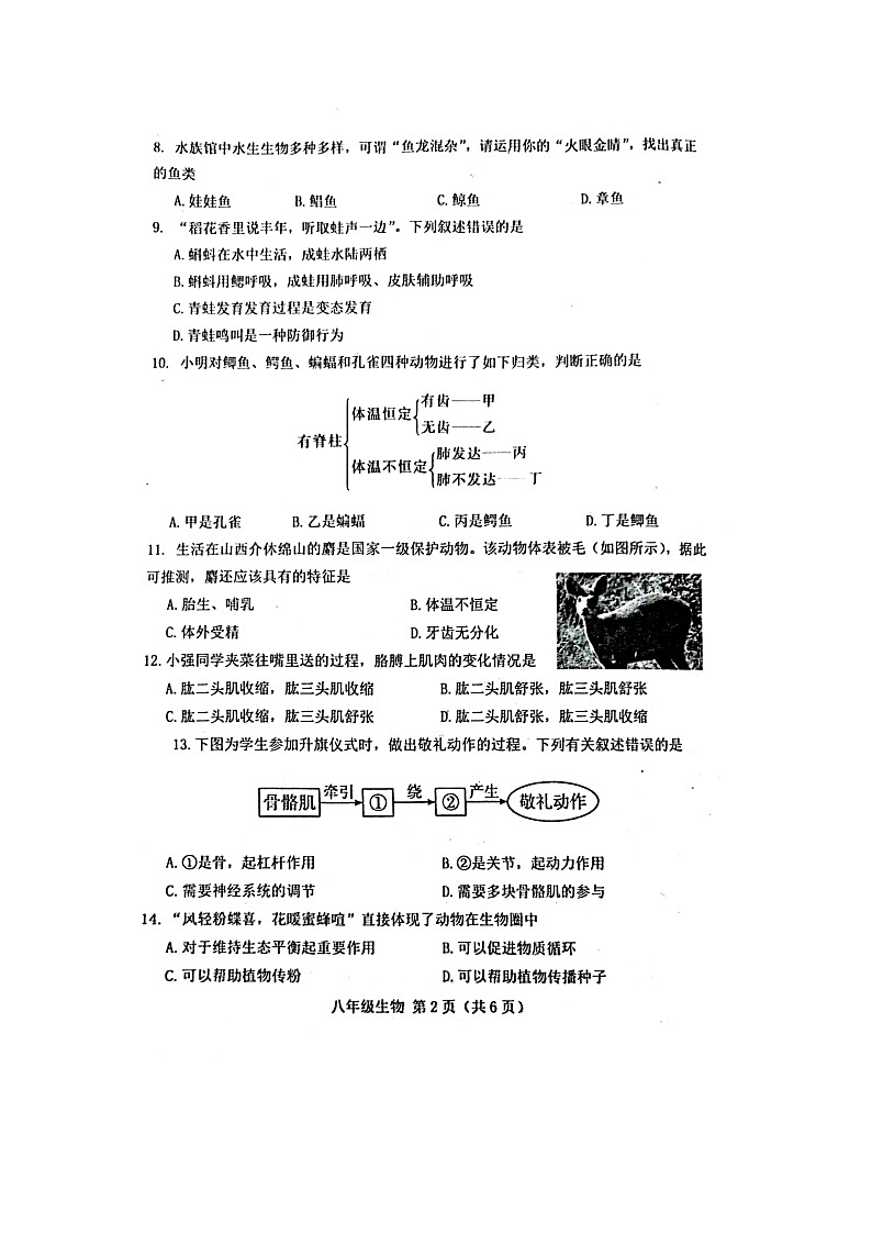 河北省唐山市遵化市2024-2025学年八年级上学期期中考试生物试卷第2页