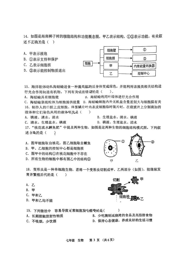 广东省汕头市金平区私立广厦学校2024-2025学年七年级上学期期中考试生物试题第3页