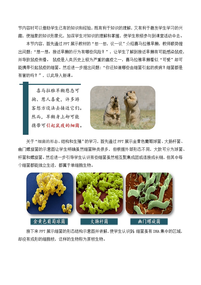 2.3.2 细菌(教学设计)-2024-2025学年度七年级生物上册同步高效课堂(人教版2024)02
