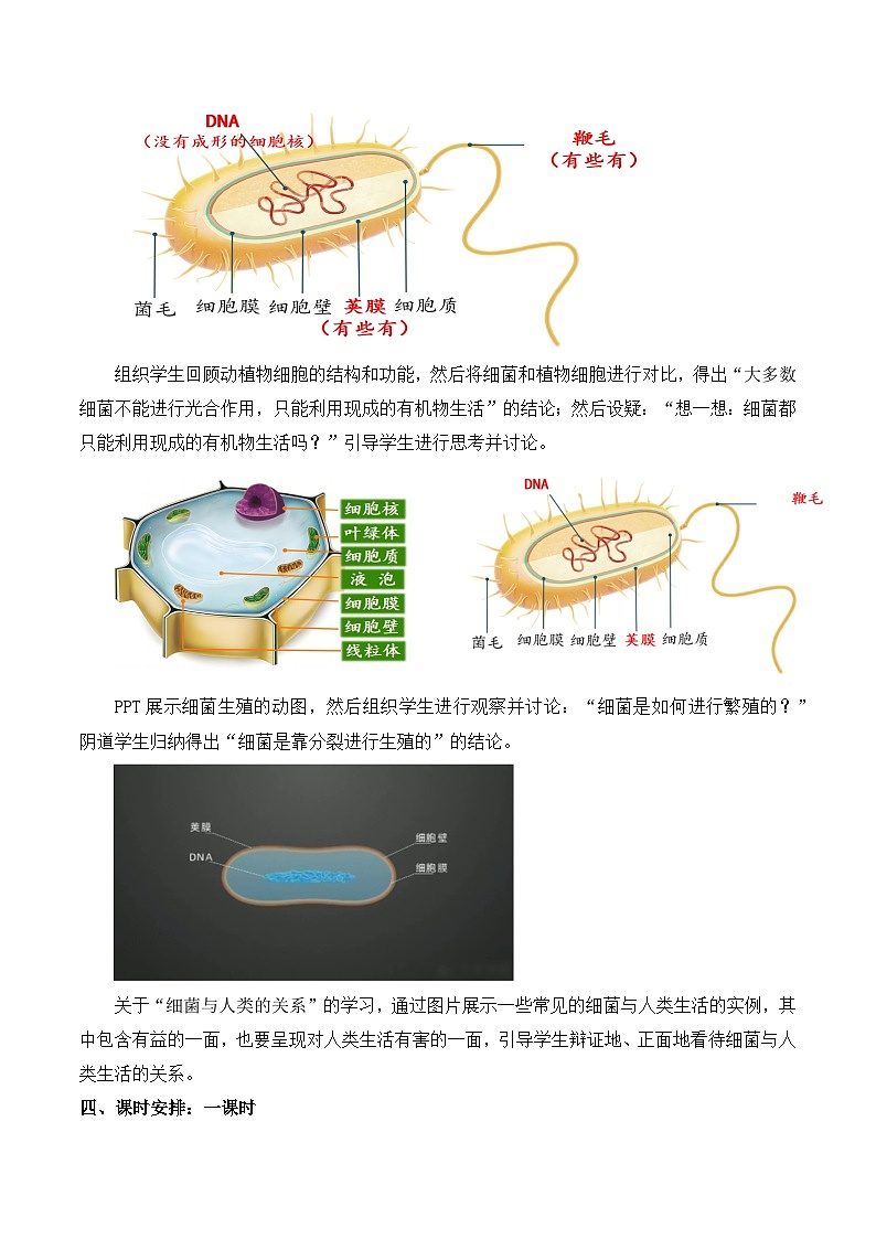 2.3.2 细菌(教学设计)-2024-2025学年度七年级生物上册同步高效课堂(人教版2024)03