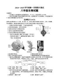 山东省菏泽市东明县2024-2025学年八年级上学期期中考试生物试题