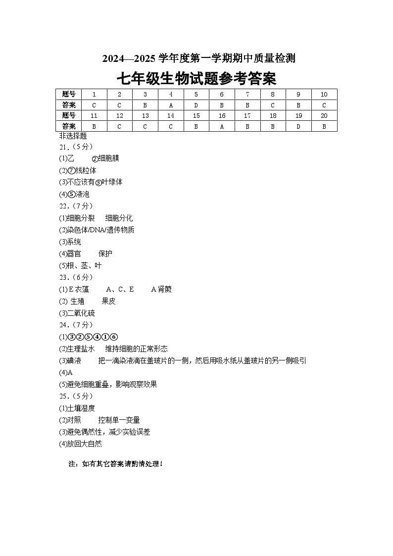 山东省菏泽市东明县2024-2025学年七年级上学期期中考试生物试题01