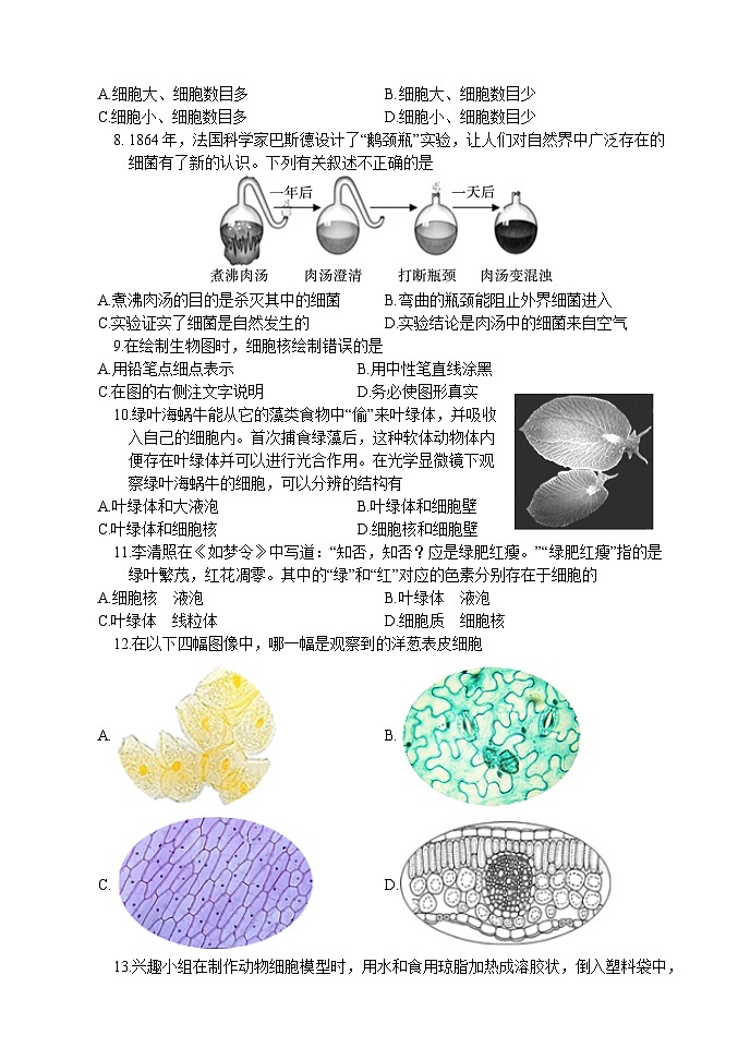山东省菏泽市东明县2024-2025学年七年级上学期期中考试生物试题02