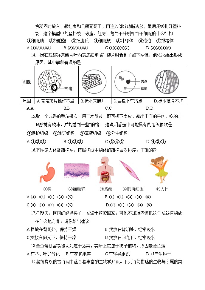 山东省菏泽市东明县2024-2025学年七年级上学期期中考试生物试题03