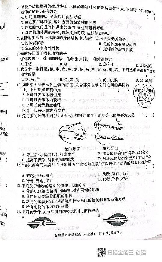 陕西省西安市高陵区2024-2025学年八年级上学期期中学业水平测试生物试卷第2页
