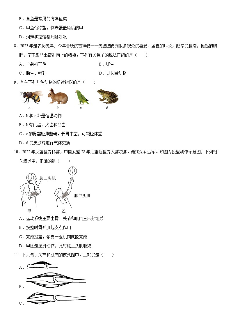 2024-2025学年广东省东莞市塘厦金桂园学校八年级(上)期中生物试卷  含详解02