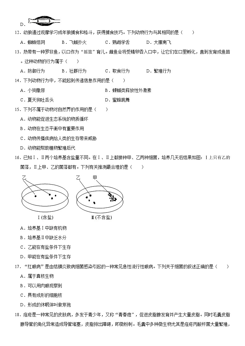 2024-2025学年广东省东莞市塘厦金桂园学校八年级(上)期中生物试卷  含详解03