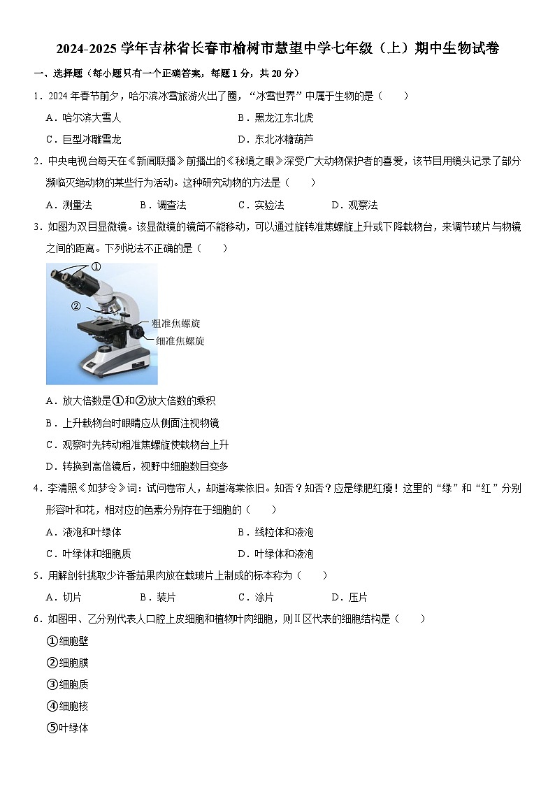 2024-2025學(xué)年吉林省長(zhǎng)春市榆樹(shù)市慧望中學(xué)七年級(jí)（上）期中生物試卷  含詳解第1頁(yè)