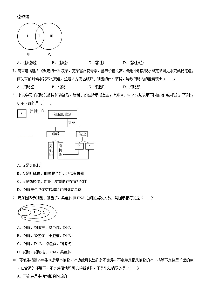 2024-2025學(xué)年吉林省長(zhǎng)春市榆樹(shù)市慧望中學(xué)七年級(jí)（上）期中生物試卷  含詳解第2頁(yè)