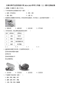 天津市和平区汉阳道中学2024-2025学年八年级（上）期中生物试卷 含详解