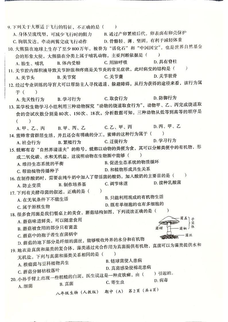 河南省郑州市新郑市2024-2025学年八年级上学期11月期中生物试题第2页