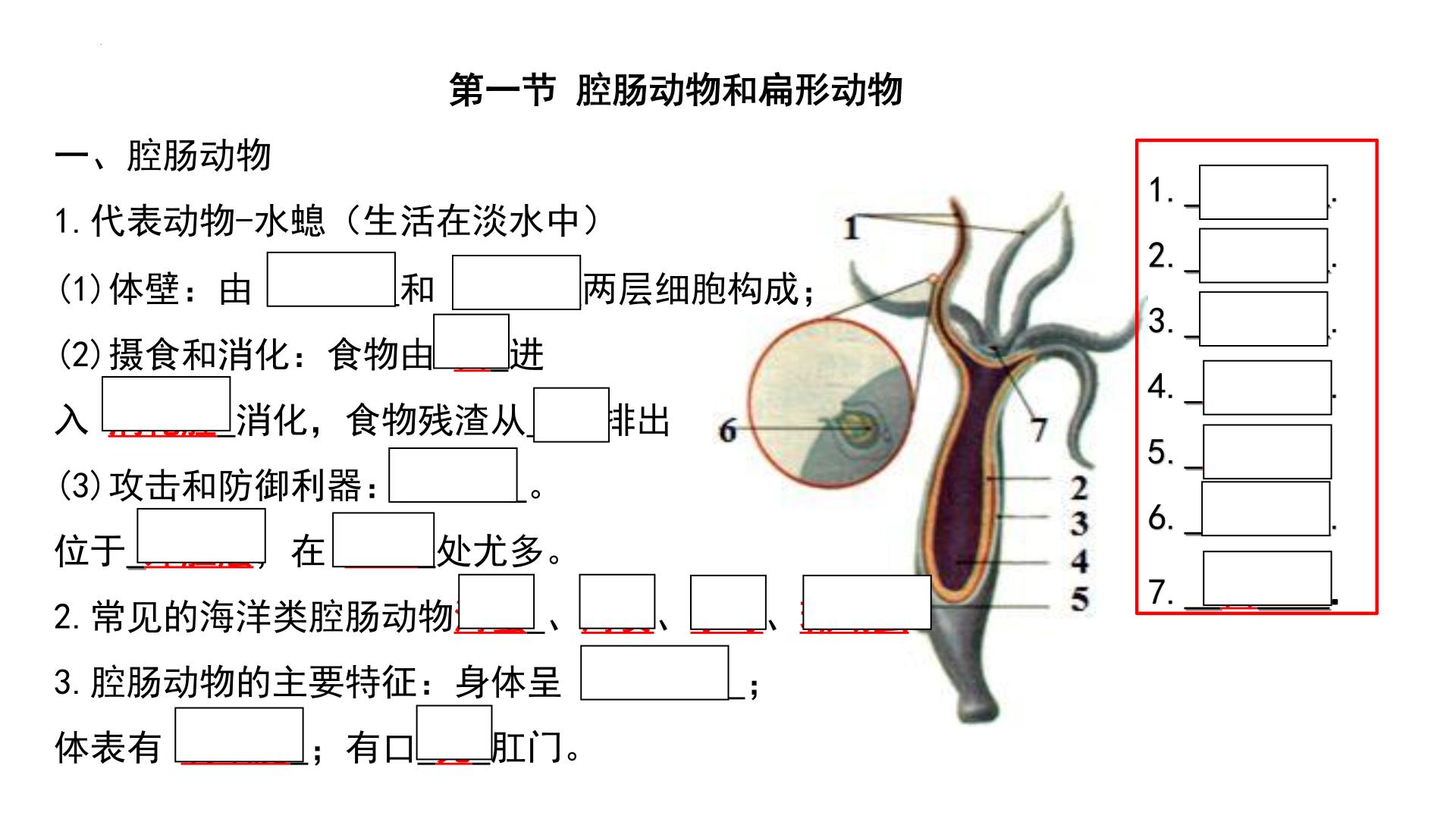 人教版生物八年级上册期末考试知识点汇总（课件）