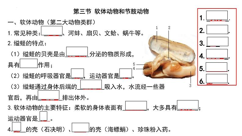 人教版生物八年级上册期末考试知识点汇总(课件)第5页