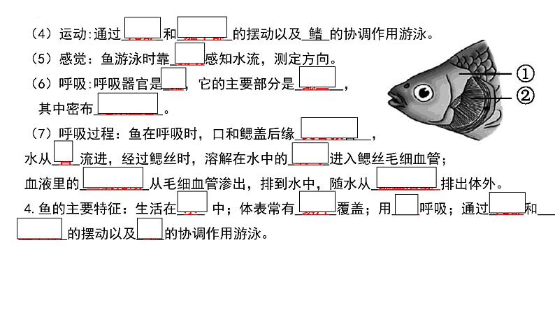 人教版生物八年级上册期末考试知识点汇总(课件)第8页