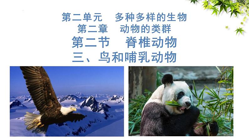 人教版生物七年级上册2.2.2《脊椎动物(三、鸟和哺乳动物)》课件01