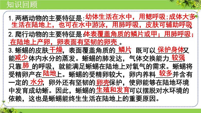 人教版生物七年级上册2.2.2《脊椎动物(三、鸟和哺乳动物)》课件02