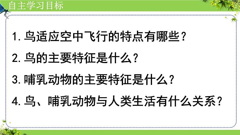 人教版生物七年级上册2.2.2《脊椎动物(三、鸟和哺乳动物)》课件04