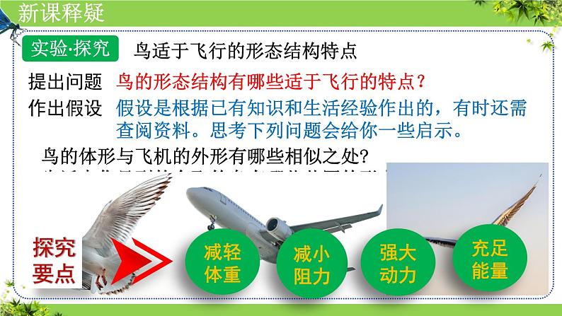 人教版生物七年级上册2.2.2《脊椎动物(三、鸟和哺乳动物)》课件06