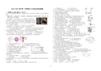 山东省烟台市经济技术开发区(五四制)2024-2025学年七年级上学期期中考试生物试题