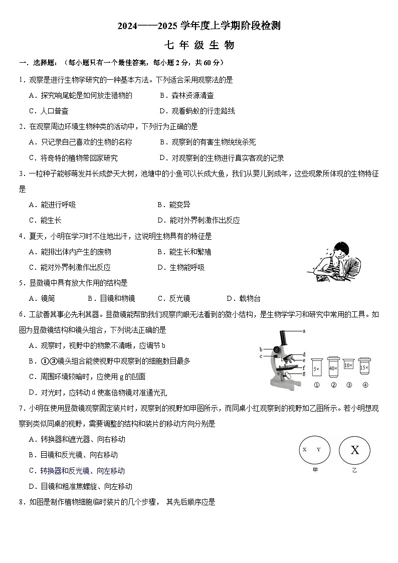 (教研室)山东省临沂市费县2024-2025学年七年级上学期期中考试生物试题第1页