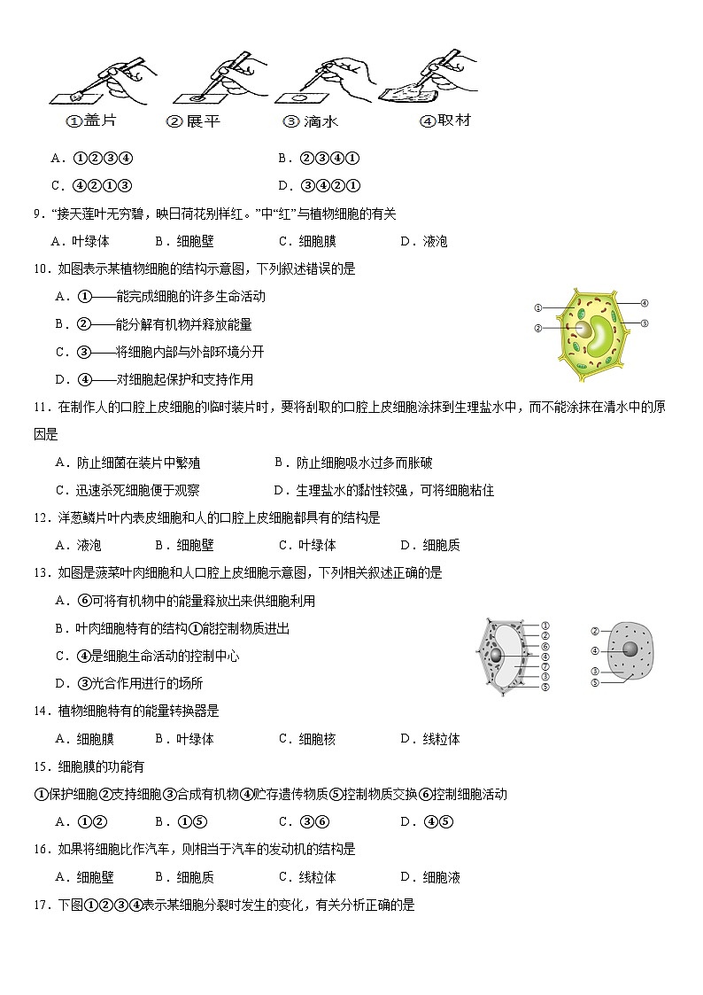 (教研室)山东省临沂市费县2024-2025学年七年级上学期期中考试生物试题第2页