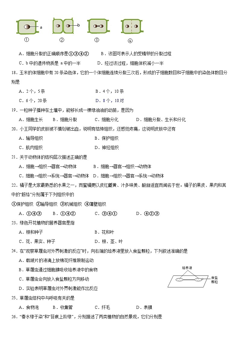 (教研室)山东省临沂市费县2024-2025学年七年级上学期期中考试生物试题第3页