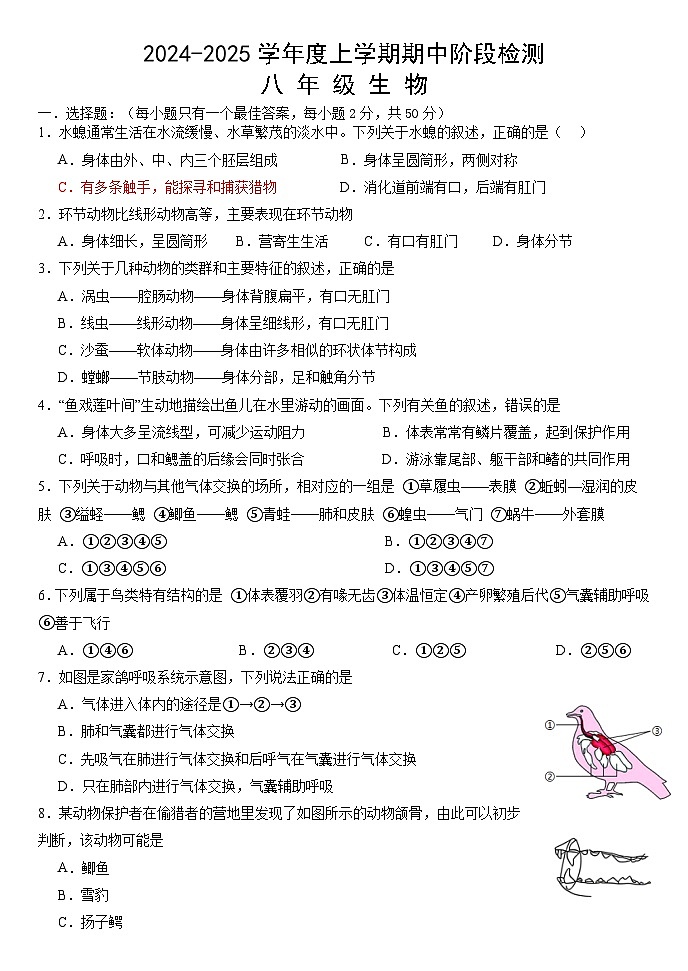 (教研室)山东省临沂市费县2024-2025学年八年级上学期期中考试生物试题第1页