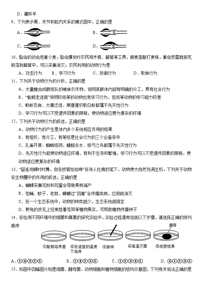 (教研室)山东省临沂市费县2024-2025学年八年级上学期期中考试生物试题第2页