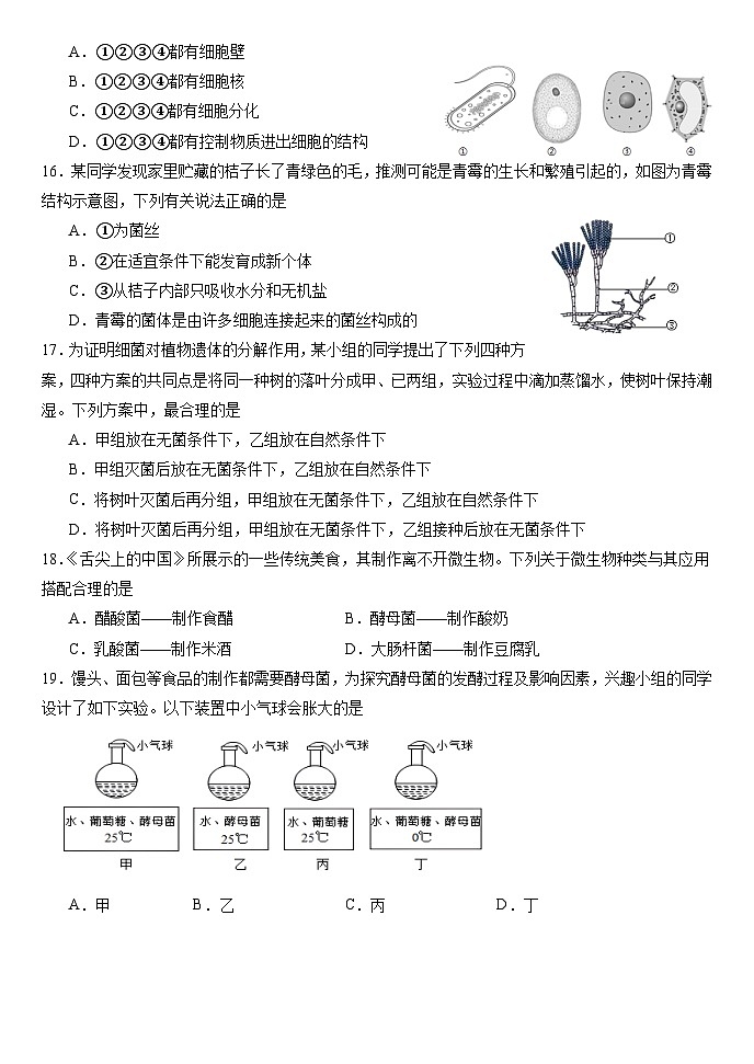 (教研室)山东省临沂市费县2024-2025学年八年级上学期期中考试生物试题第3页
