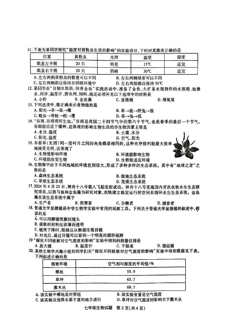 江苏省徐州市沛县2024-2025学年七年级上学期11月期中考试生物试题02