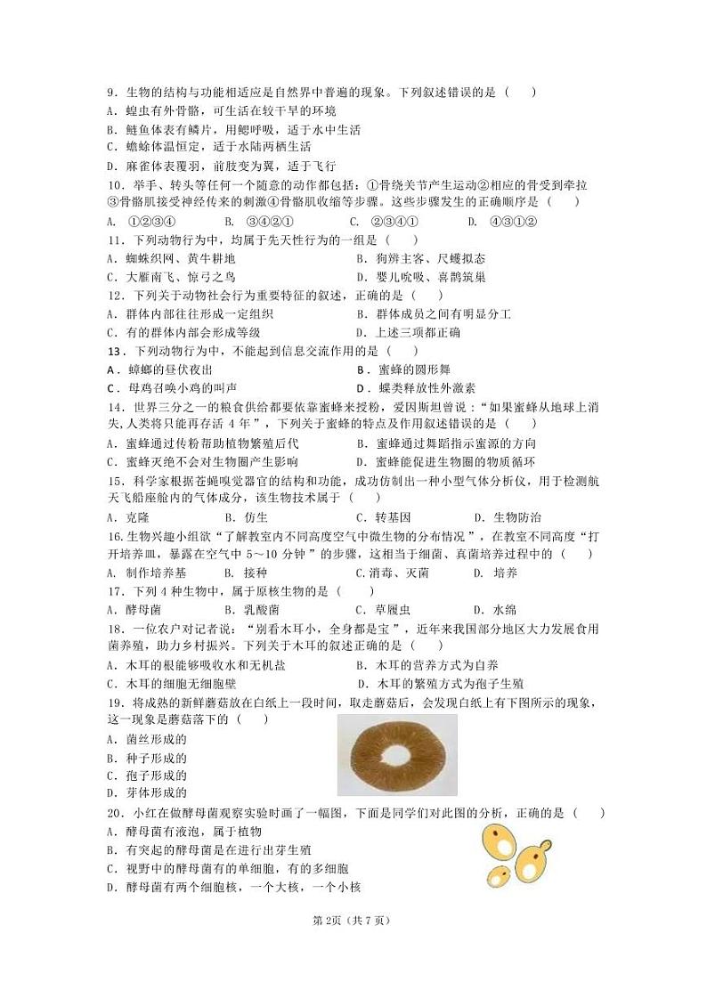 湖南省郴州市永兴县2024--2025学年八年级上学期期中生物考试试题第2页