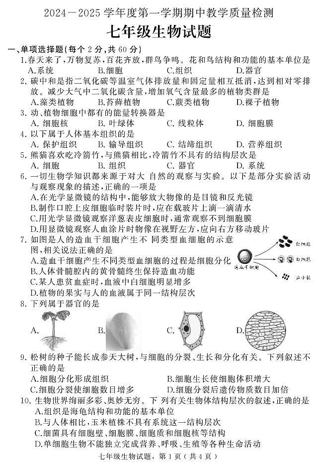 河北省石家庄市栾城区2024-2025学年七年级上学期期中考试生物试题01