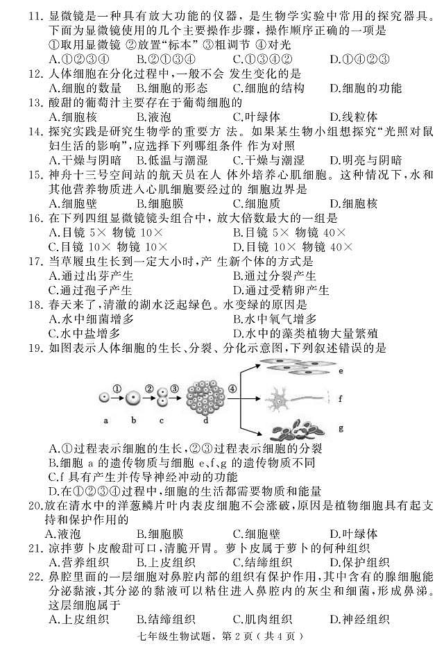 河北省石家庄市栾城区2024-2025学年七年级上学期期中考试生物试题02